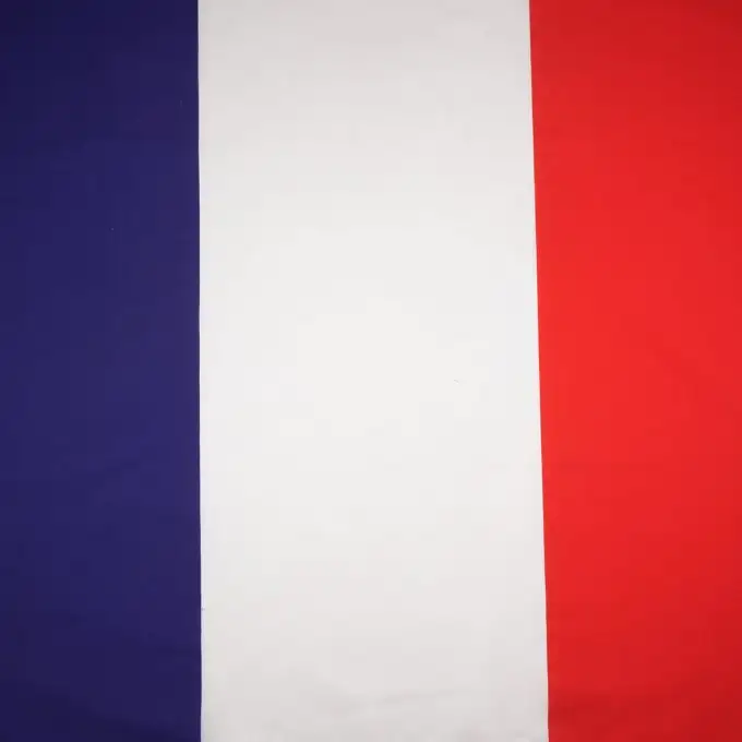 Bandiera al metro Francia 80cm