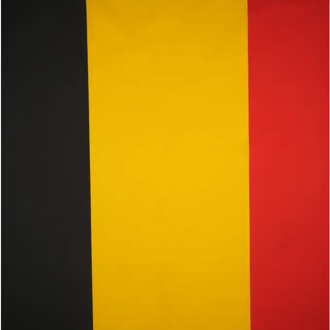 Bandiera al metro Belgio 80cm